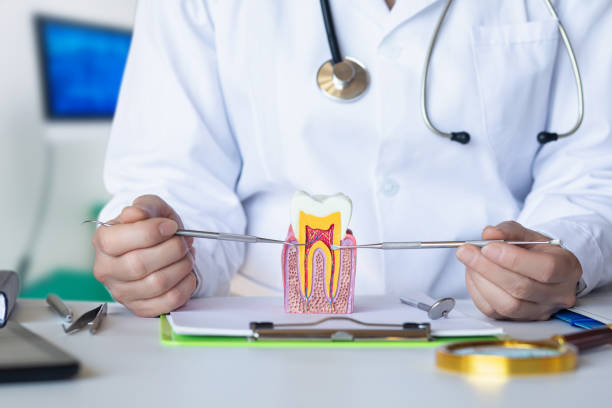 Best Emergency Dental Care for Abscessed Tooth in Monticello, UT
